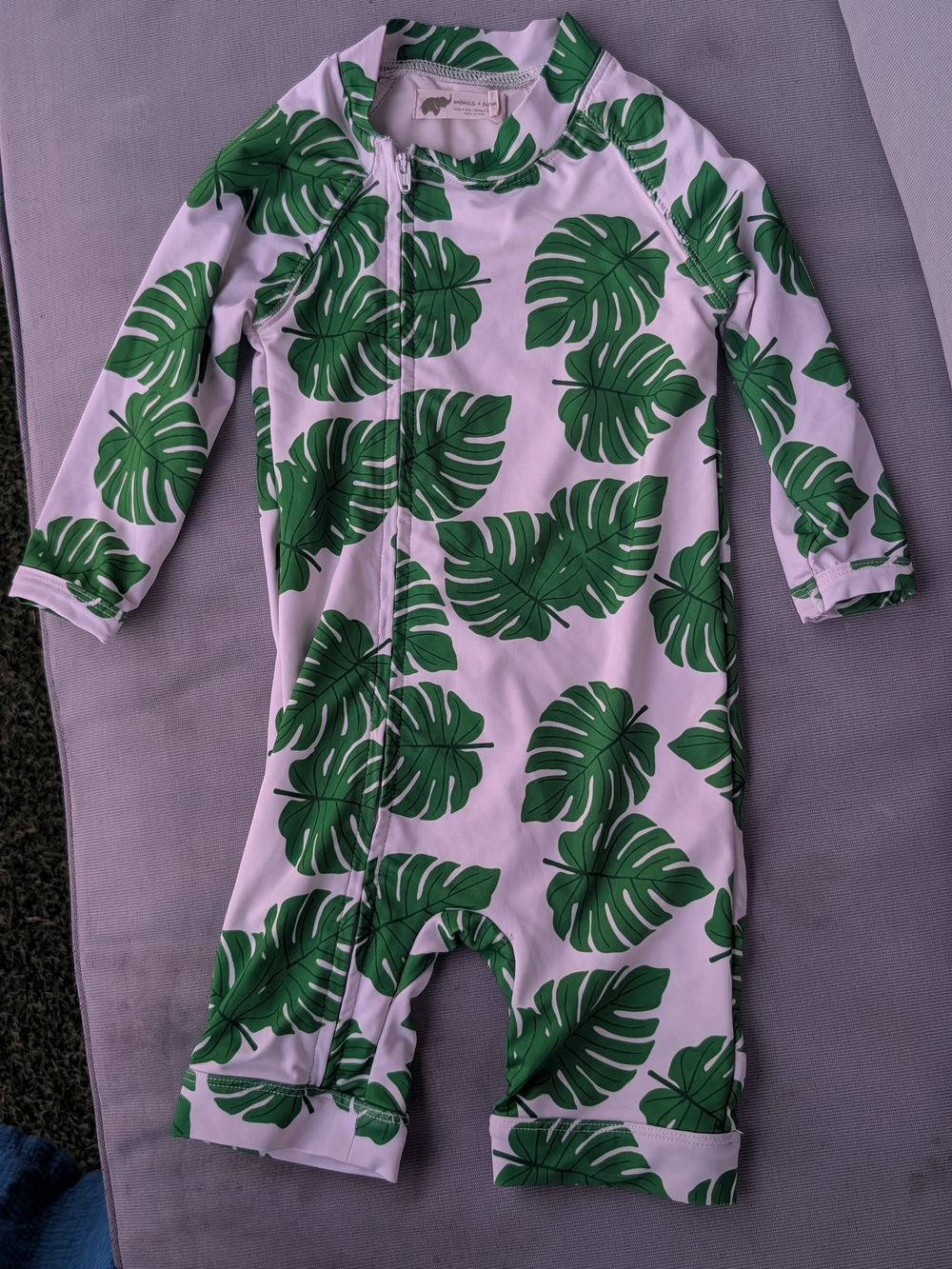 Monica + Andy Monstera Swimsuit